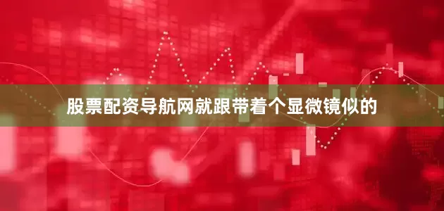 股票配资导航网就跟带着个显微镜似的
