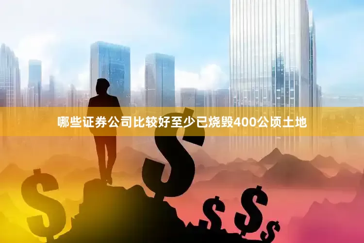 哪些证券公司比较好至少已烧毁400公顷土地