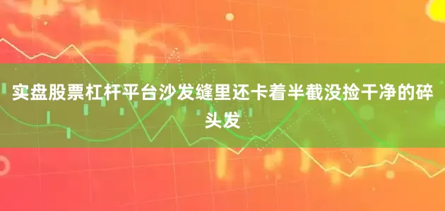 实盘股票杠杆平台沙发缝里还卡着半截没捡干净的碎头发