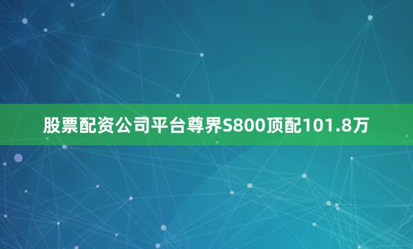 股票配资公司平台尊界S800顶配101.8万