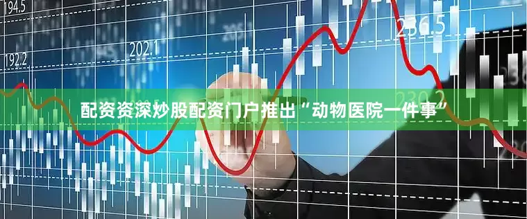 配资资深炒股配资门户推出“动物医院一件事”